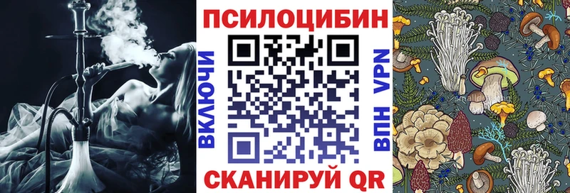 где купить наркоту  Новотроицк  Галлюциногенные грибы GOLDEN TEACHER 